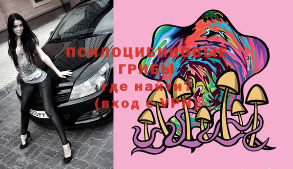 ешки Абинск