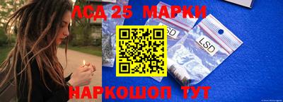 стафф Дубна