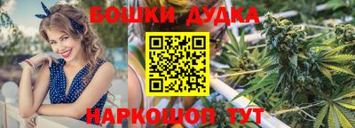 стафф Дубна