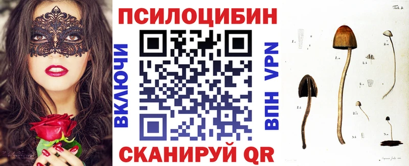 это наркотические препараты Мурино Галлюциногенные грибы GOLDEN TEACHER купить цена